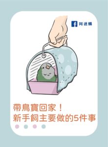 帶鳥寶回家!新手飼主要做的5件事-鹦鹉网