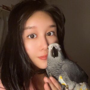 小灰和我可爱的主人-鹦鹉网