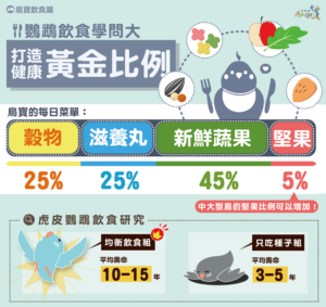 如何为鹦鹉进行营养搭配？-鹦鹉网